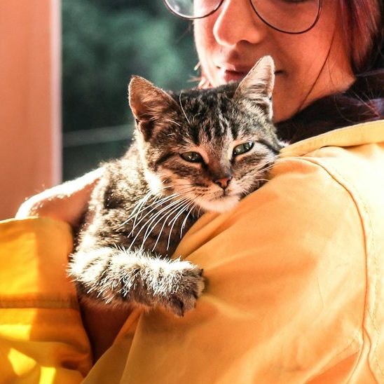 Eine Person mit Brille hält eine gestreifte Katze im Arm.