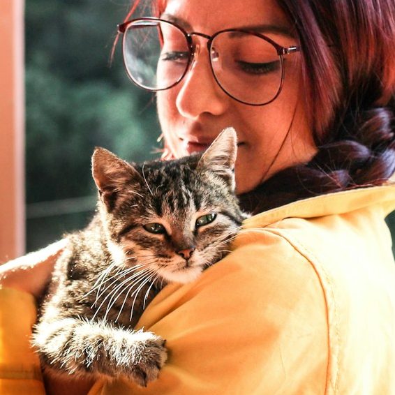 Eine Person mit Brille hält eine getigerte Katze im Arm und lächelt.