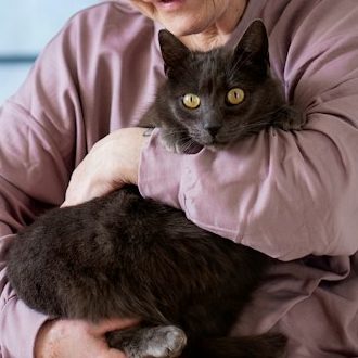 Eine ältere Person hält eine grau-schwarz gefleckte Katze in den Armen.