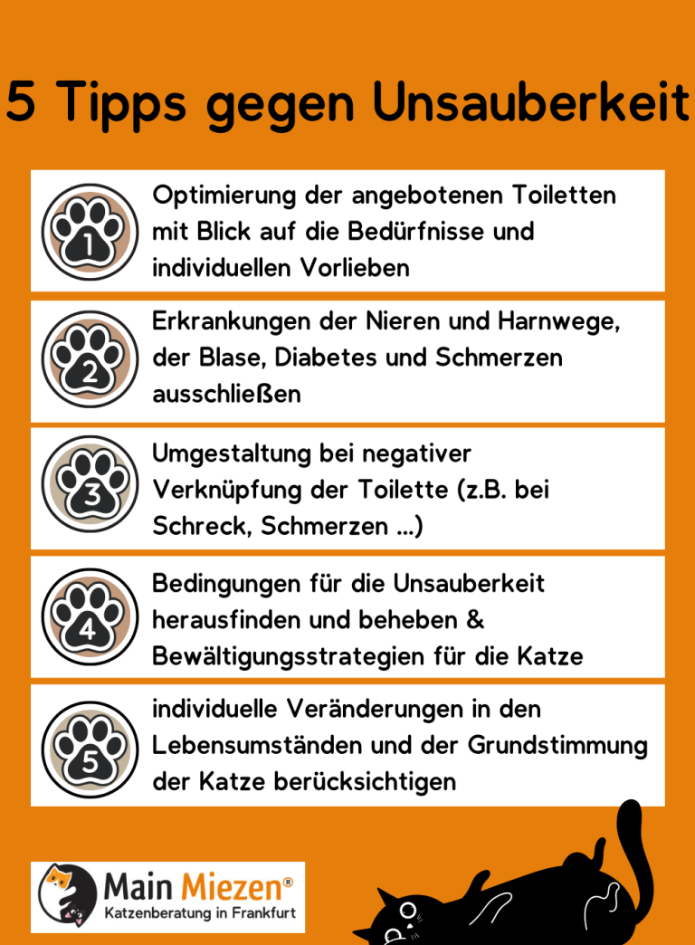 Fünf Tipps zur Verbesserung der Sauberkeit bei der Katzenhaltung.