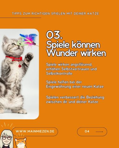 Katze spielt mit einem bunten Schmetterlingsspielzeug auf orangefarbenem Hintergrund.