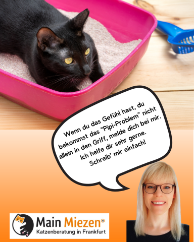 Schwarze Katze in einem pinkfarbenen Katzenbett mit Text über Katzenberatung.