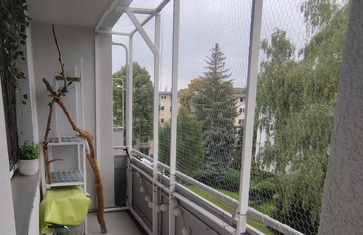 Balkone absichern, Gehege erstellen Balkon mit Pflanzen, einem Sitzbereich und Blick auf Bäume im Hintergrund.