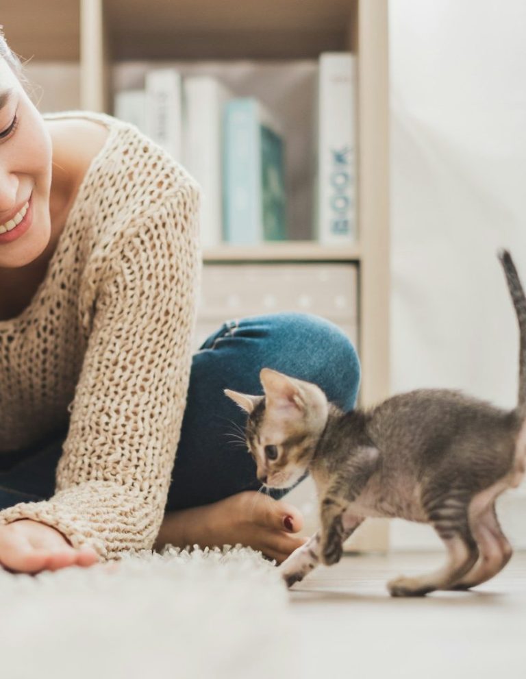 Eine Person mit einem lächelnden Gesicht spielt mit einer Katze auf dem Teppich.