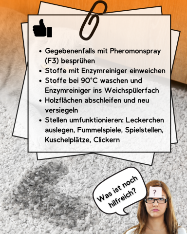Anleitung zur Anwendung von Enzymreiniger und Tipps zur richtigen Nutzung.