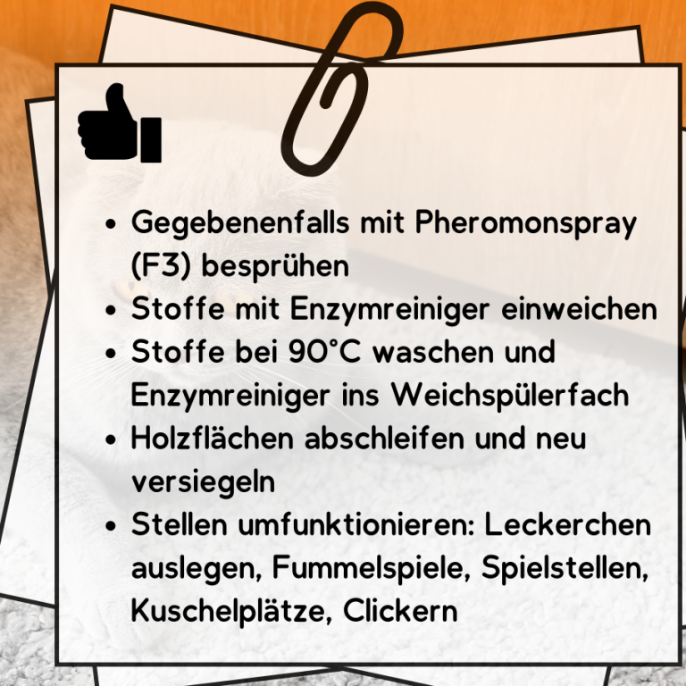 Gegenseitiger Austausch über Enzymreiniger und deren Anwendungsmöglichkeiten.