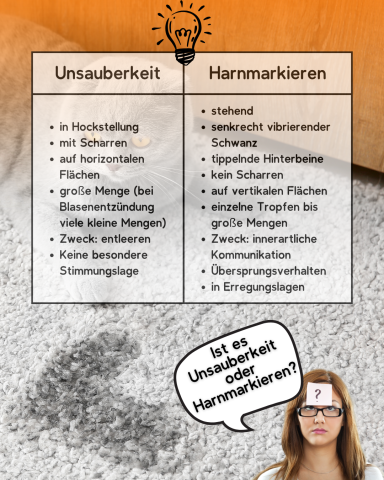 Vergleich von Unsicherheit und Hervorheben mit Beispielen; Person fragt: "Bin ich unsicher?"