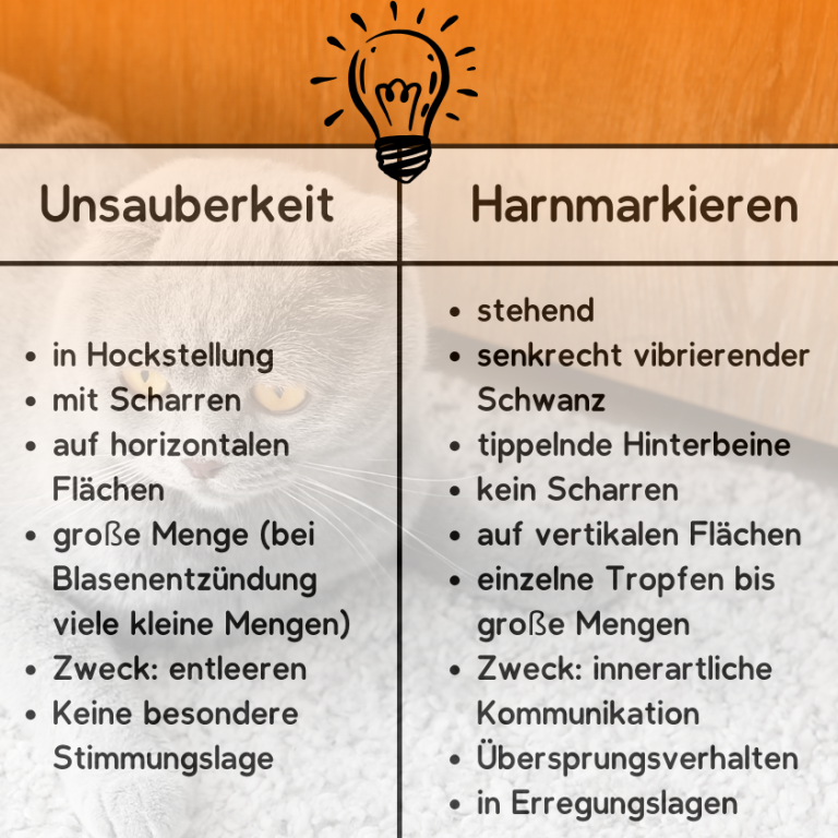 Text mit Anleitungen zur Unsauigkeit und Harmmarkierung auf einem grauen Hintergrund.