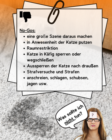Liste von No-Gos für den Umgang mit Katzen, mit symbolischem Bild einer Katze.