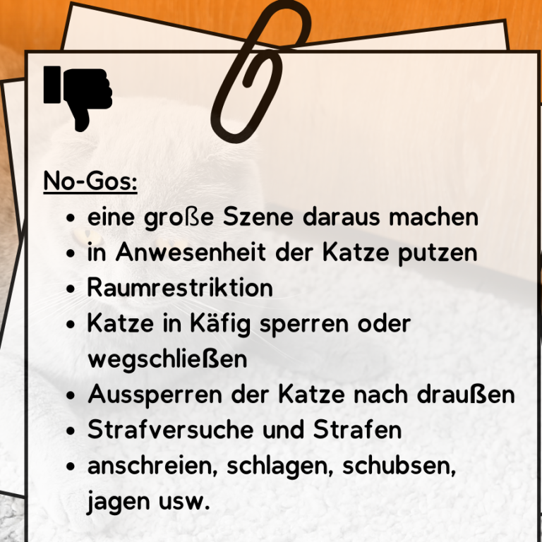 Liste von No-Gos für den Umgang mit Katzen, wie Putzen in ihrer Anwesenheit und Ausgrenzung.