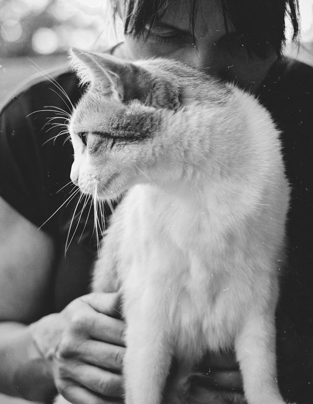 Eine Person umarmt eine weiße Katze, die aufmerksam zur Seite schaut.