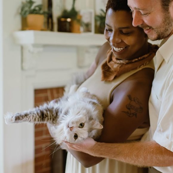Paar umarmt sich, während eine Katze entspannt in der Hand des Mannes liegt.
