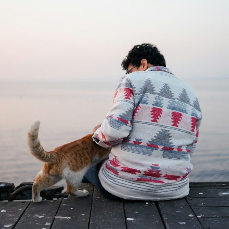 Person mit Rücken zur Kamera streichelt eine Katze am Ufer bei Sonnenuntergang.
