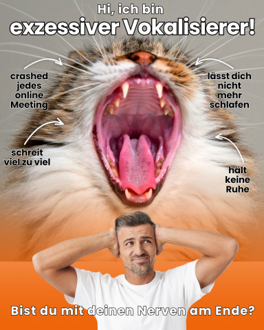 Mann mit Händen am Kopf, während eine Katze laut miaut. Text: "exzessiver Vokalisierer!"