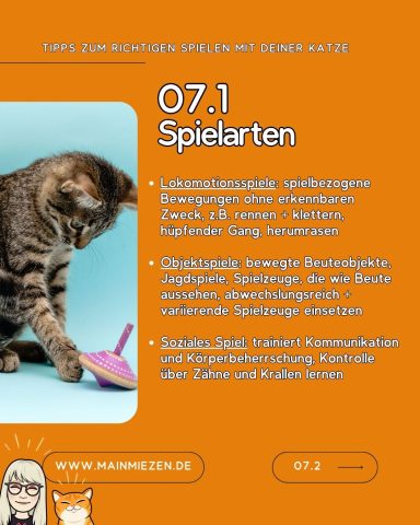Katze spielt mit bunter Papierschlange auf orangefarbenem Hintergrund.